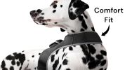 Inexpensive Less Maintenance GPS Tracker Dog Collar Rechargeable Tracking Gadget Size:L