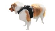 High Accuracy Waterproof GPS Tracker for Dog Collar Mini Surveillance Size:L