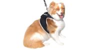 Mini GSM GPS Dog Tracking Systems with Alarm for Pet Wireless Security Size:L